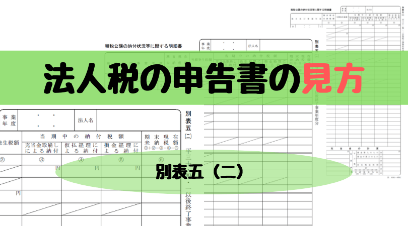 初心者向け 法人税の申告書の見方 別表五 二 税理士かわべのblog