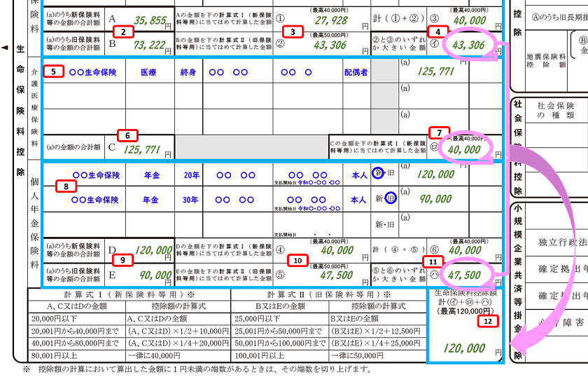 給与所得者の保険料控除申告書の書き方 令和2年分 税理士かわべのblog