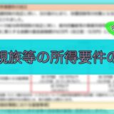 令和7年-扶養親族等の所得要件の改正